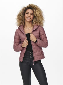 ONLY High stand-up collar Jacket -Withered Rose - 15156569