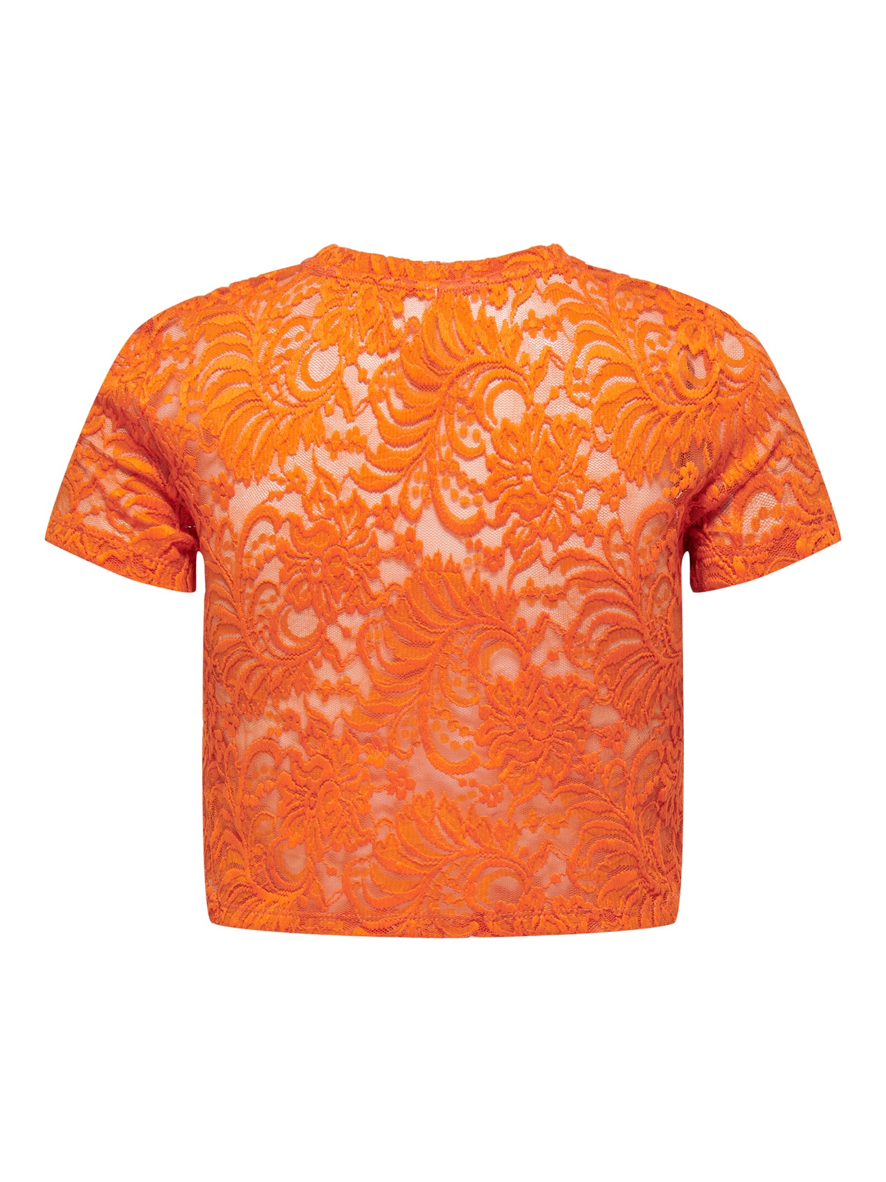 ONLY Cropped lace Short Sleeved Top -Orange Peel - 15173872