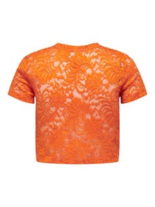 ONLY Regular fit O-hals Top -Orange Peel - 15173872