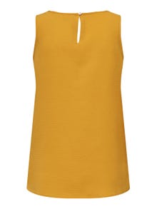 ONLY Couleur unie Top -Mango Mojito - 15203227