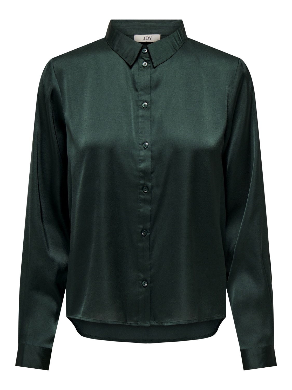 ONLY Chemises Regular Fit Col chemise Poignets boutonnés -Scarab - 15203504