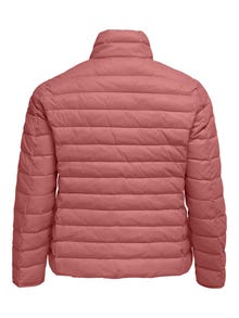 ONLY Curvy short Quilted jacket -Withered Rose - 15206089
