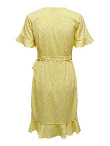 ONLY Normal geschnitten V-Ausschnitt Kurzes Kleid -Cream Gold - 15206407
