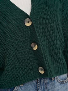 ONLY Knitted cardigan -Green Gables - 15211521