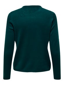 ONLY Round Neck Pullover -Green Gables - 15221024