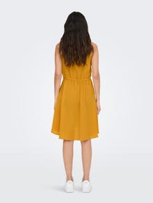 ONLY Regular fit O-hals Korte jurk -Mango Mojito - 15222203