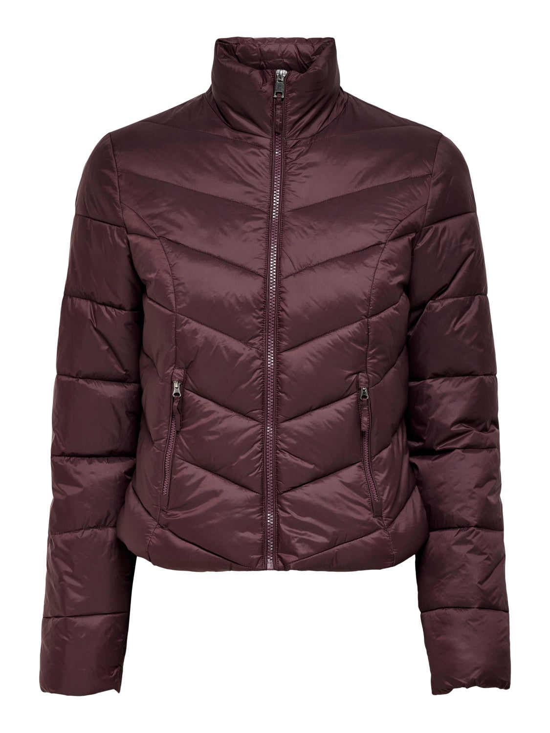 Short padded Jacket with 40% discount 