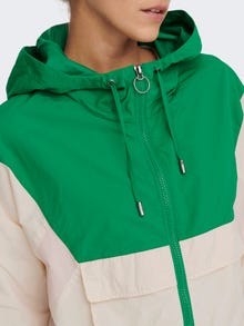 ONLY Color block Jacket -Birch - 15242436