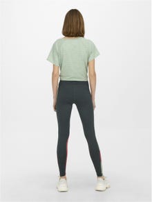 ONLY Slim Fit Hohe Taille Leggings -Dark Shadow - 15244252