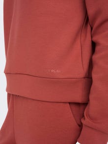 ONLY Normal geschnitten Kapuze Tief angesetzte Schulter Sweatshirt -Mineral Red - 15245850