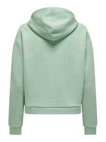 ONLY Enfärgad Hoodie -Frosty Green - 15245850