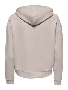 ONLY Training Hoodie -Pumice Stone - 15245850