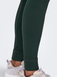ONLY ONPJAIA Tight Fit Legging -Scarab - 15250052