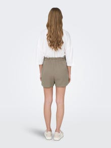 ONLY Regular fit Mid waist Shorts -Brindle - 15259755