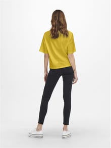 ONLY Regular Fit Round Neck Dropped shoulders T-Shirt -Tawny Olive - 15265368