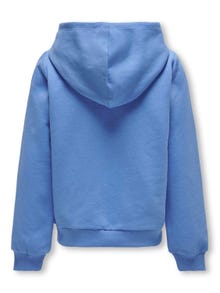 ONLY Regular fit hoodie -Provence - 15267765