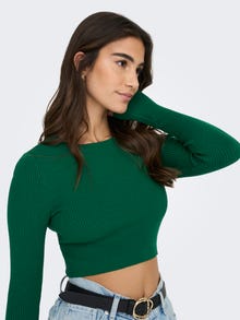 ONLY Cropped rib top -Green Jacket - 15285994