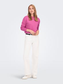 ONLY Sweat-shirts Regular Fit Col rond -Gin Fizz - 15289279