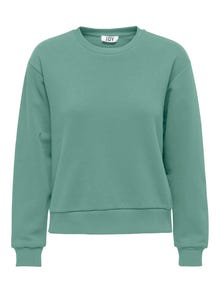 ONLY Langermet Sweatshirt -Creme De Menthe - 15289279