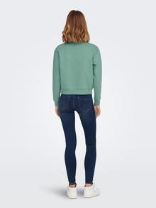 ONLY Langarm Sweatshirt -Creme De Menthe - 15289279