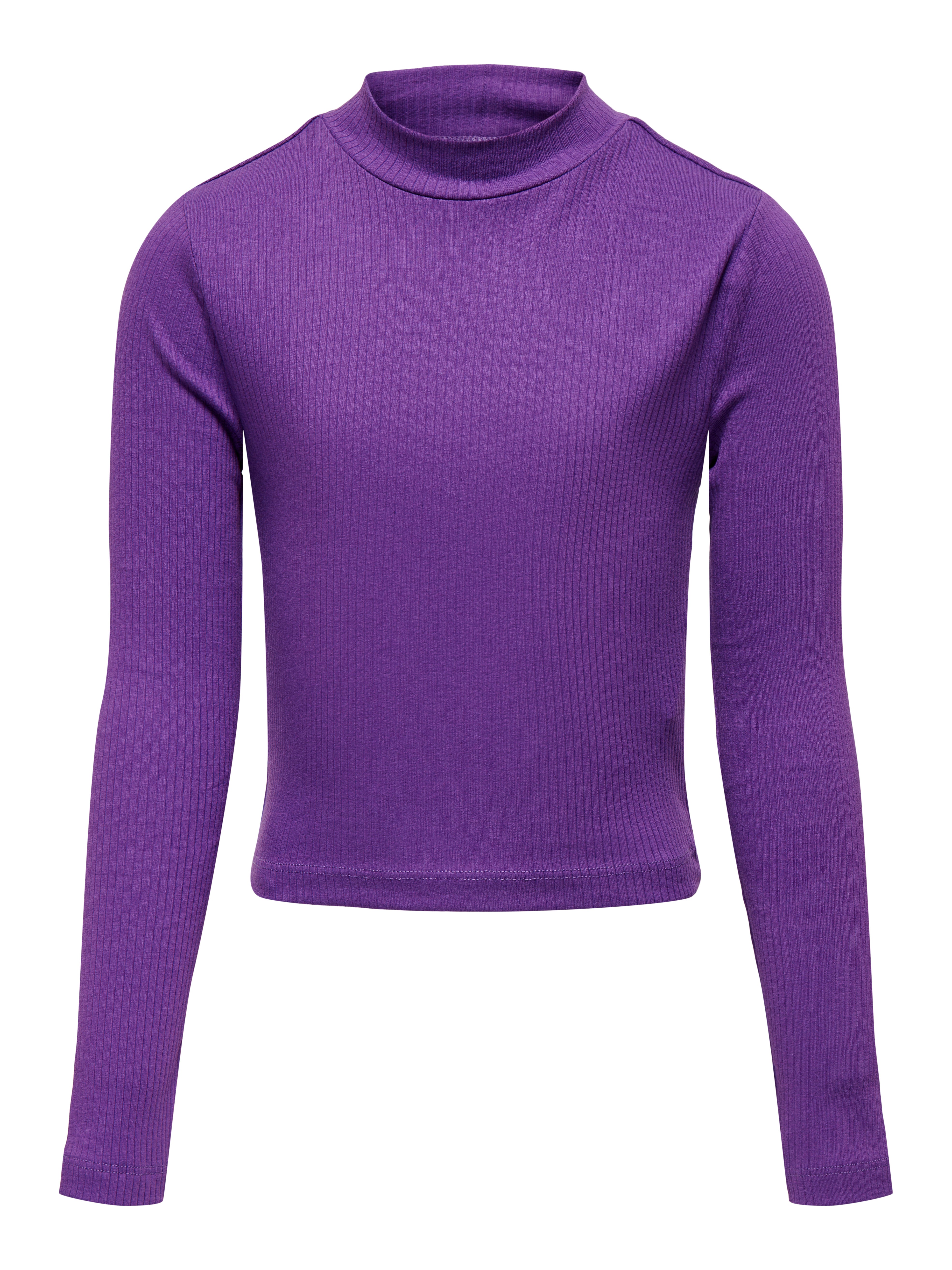 Regular Fit High neck Top Dark Purple ONLY