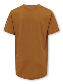 ONLY o-neck t-shirt with print -Cathay Spice - 15303789