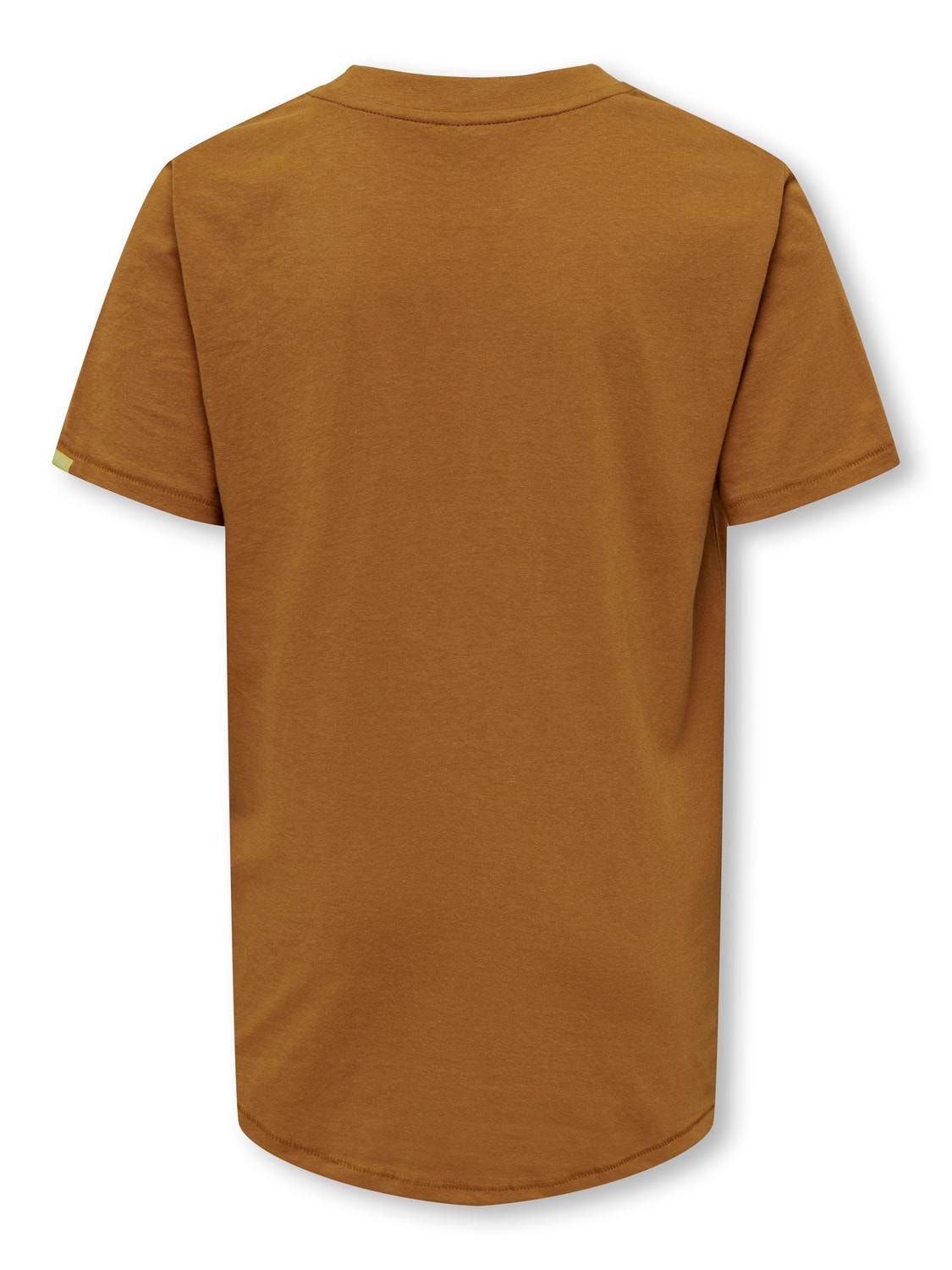 ONLY o-neck t-shirt with print -Cathay Spice - 15303789