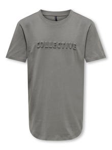ONLY Regular Fit Round Neck T-Shirt -Steeple Gray - 15303796