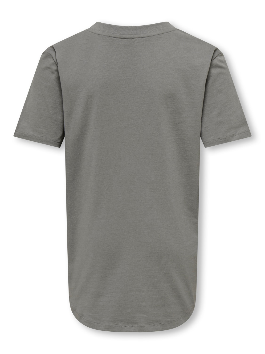 ONLY Camisetas Corte regular Cuello redondo -Steeple Gray - 15303796