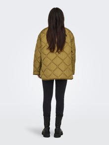 ONLY Round Neck Jacket -Dull Gold - 15308581
