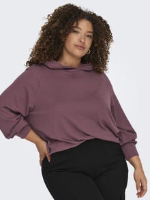 ONLY Regular Fit Hoodie Sweatshirt -Rose Brown - 15310492