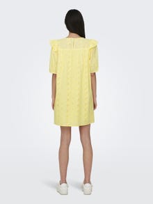 ONLY Mini dress with volume and frill sleeves -Popcorn - 15312391