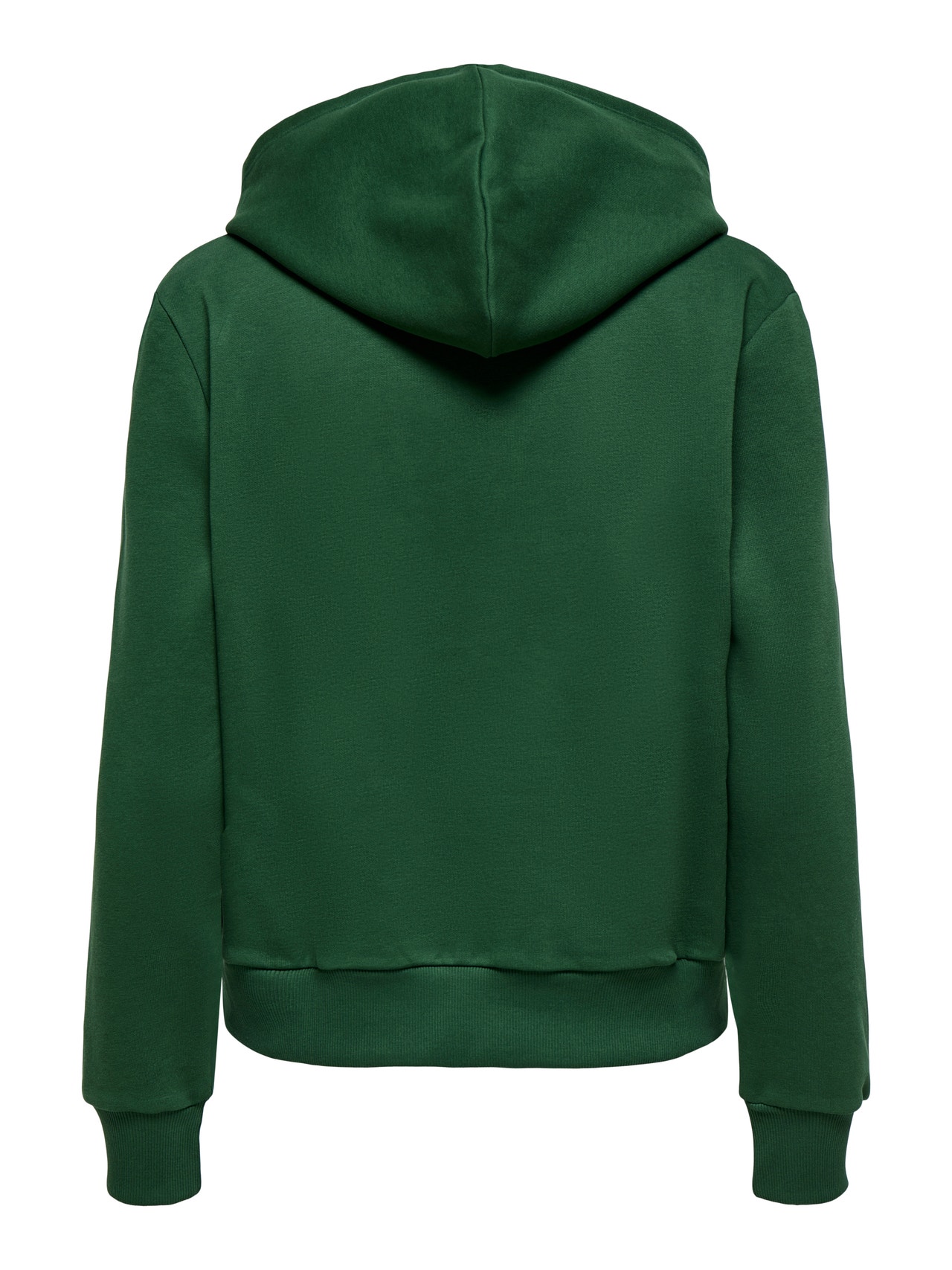 ONLY Tavapärane lõige Kapuuts Dressipluusid -Pineneedle - 15312874