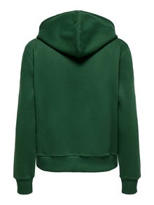 ONLY Tavapärane lõige Kapuuts Dressipluusid -Pineneedle - 15312874