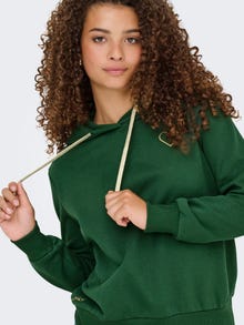 ONLY Tavapärane lõige Kapuuts Dressipluusid -Pineneedle - 15312874