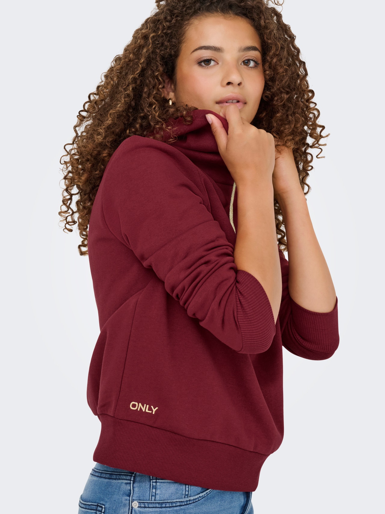 ONLY ONLNOLI Sweatshirt -Cabernet - 15312874