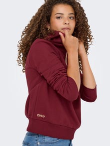 ONLY ONLNOLI Sweatshirt -Cabernet - 15312874