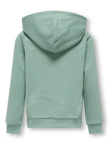 ONLY Normal geschnitten Kapuze Sweatshirt -Hedge Green - 15313530