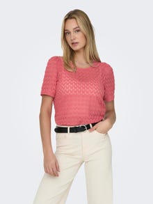 ONLY Regular Fit O-Neck Top -Cayenne - 15313965