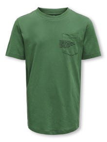 ONLY Regular Fit O-hals T-skjorte -Myrtle - 15314128