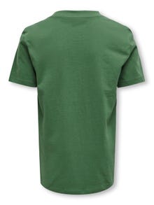 ONLY Regular Fit O-hals T-skjorte -Myrtle - 15314128