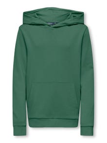 ONLY Regular Fit Hettegenser Sweatshirt -Myrtle - 15314133