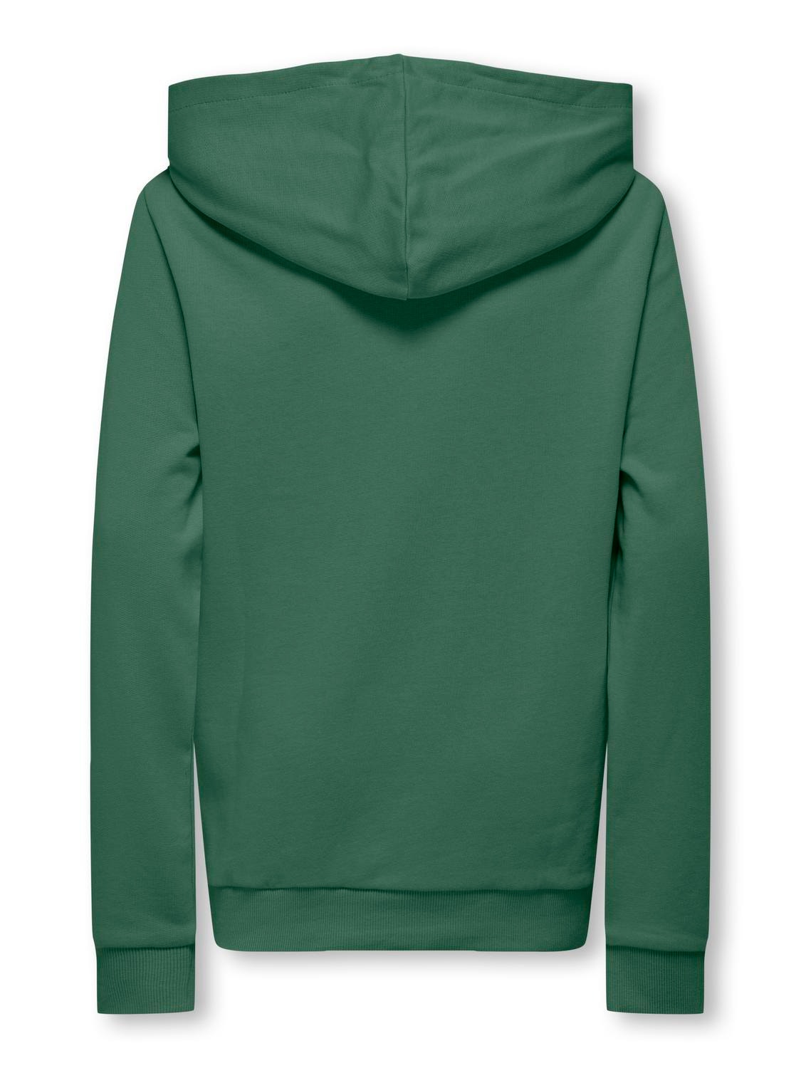 ONLY Solid color hoodie -Myrtle - 15314133