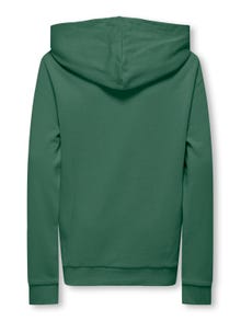 ONLY Solid color hoodie -Myrtle - 15314133