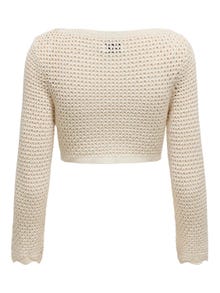 ONLY Cropped fit V-Hals Pullover -Birch - 15314784