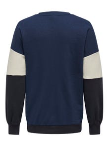 ONLY Curvy o-neck sweatshirt -Naval Academy - 15317411