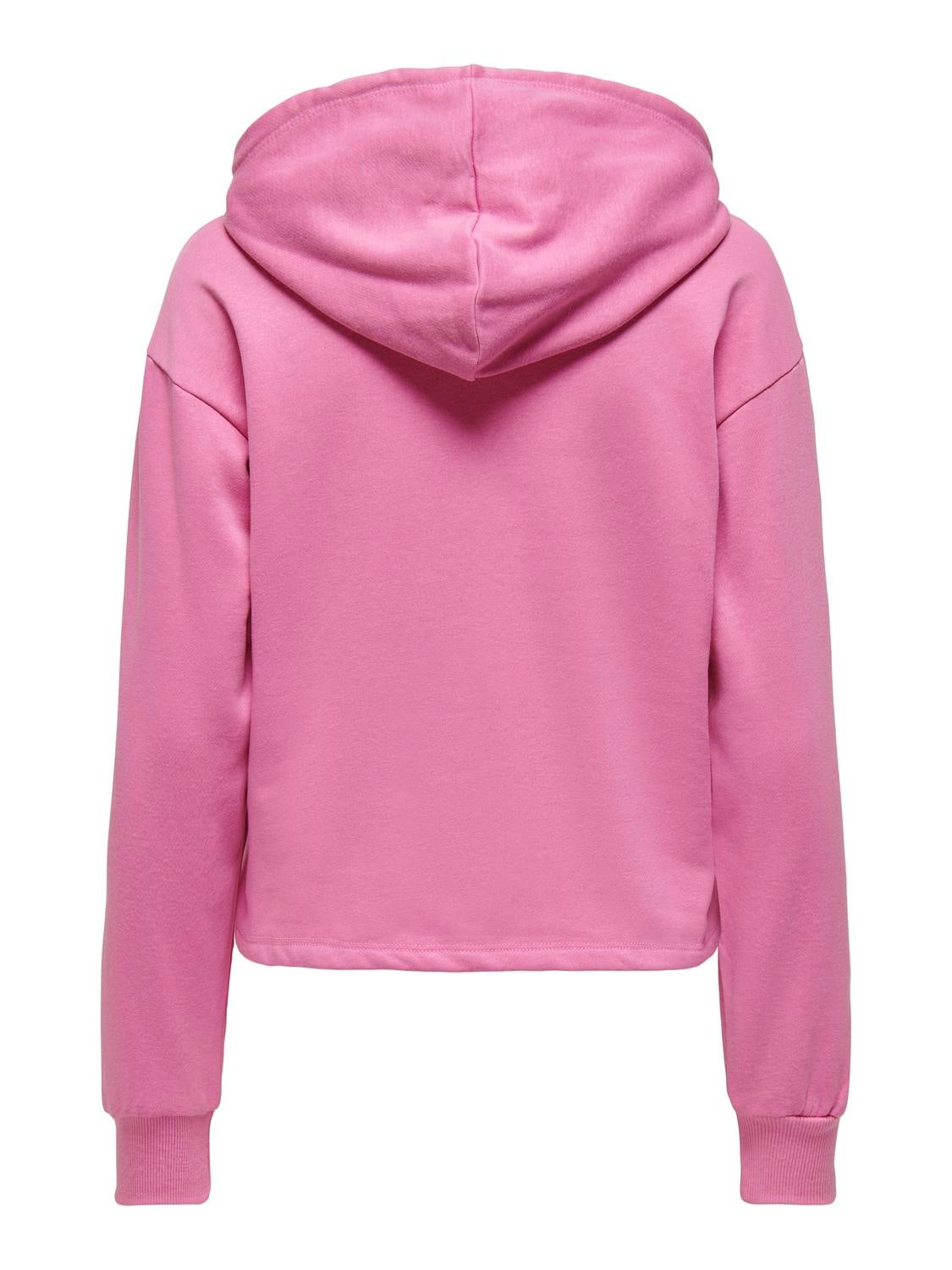 Rose 2025 colored hoodie