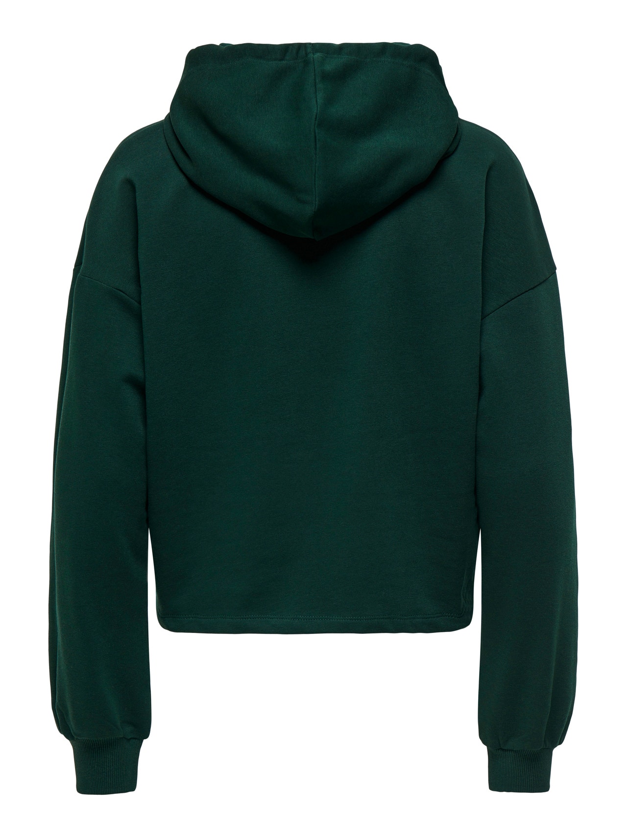 ONLY ONPGO Φούτερ -Scarab - 15332210