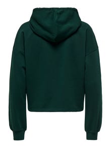 ONLY ONPGO Φούτερ -Scarab - 15332210