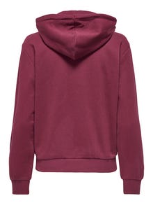 ONLY ONPPICA Sweat-shirts -Rhododendron - 15352651